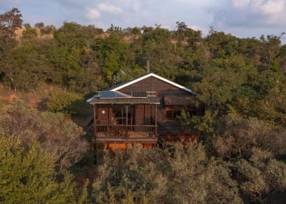 View Wild Syringa